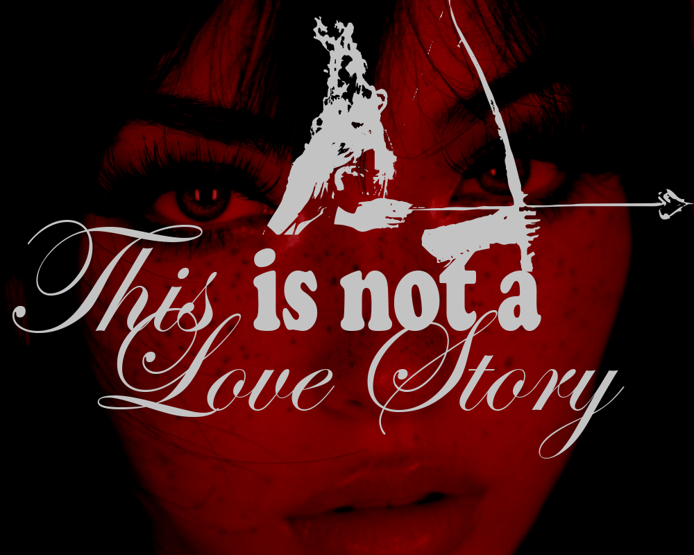 NOT A LOVE STORY